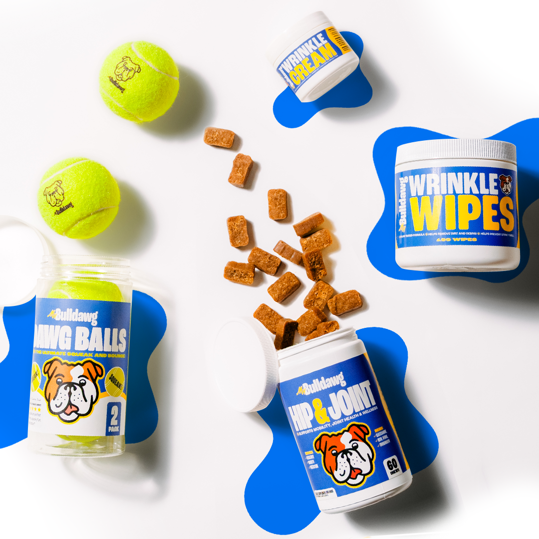 Everyday Bulldog Bundle