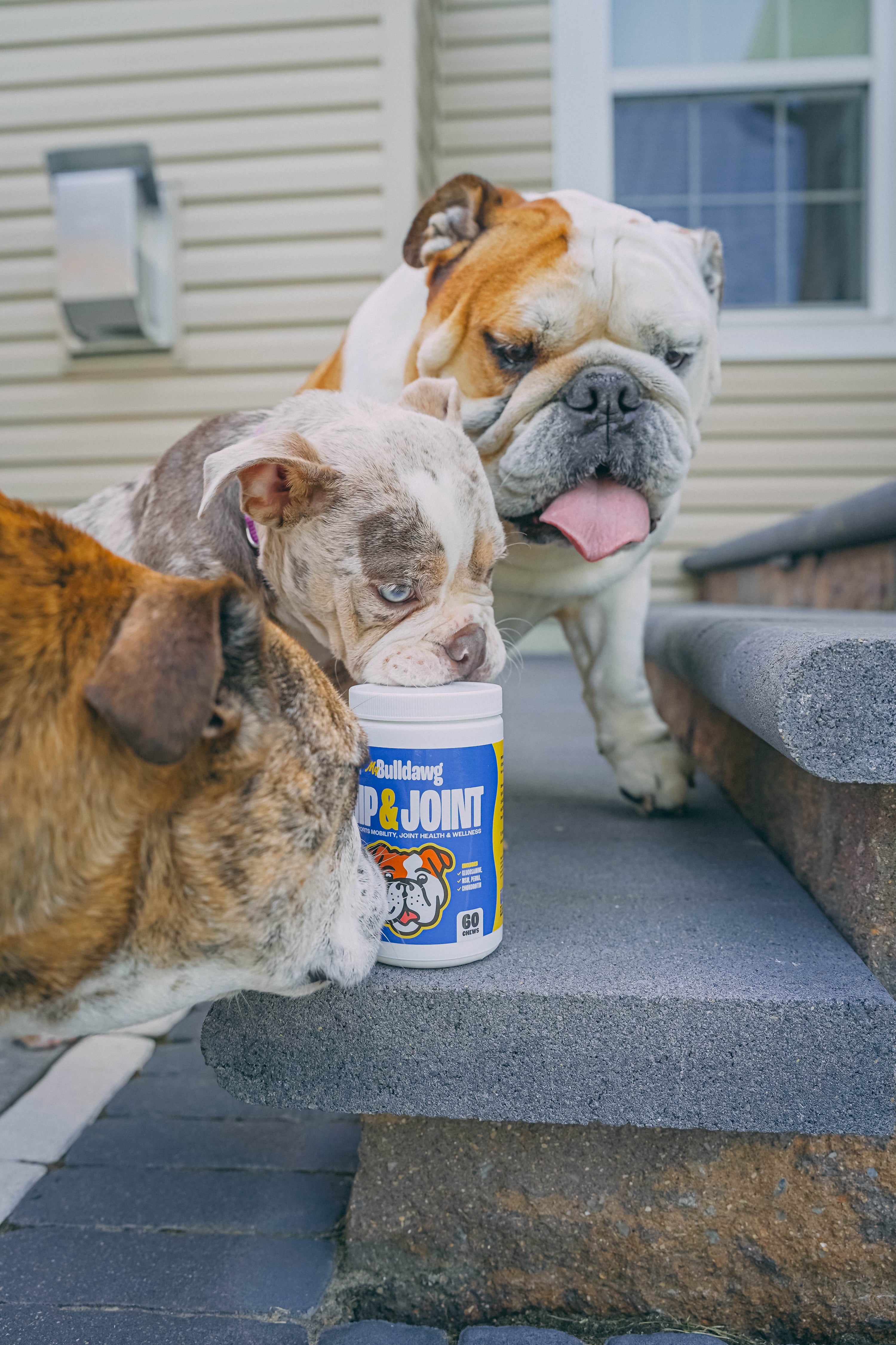 Advanced Hip & Joint