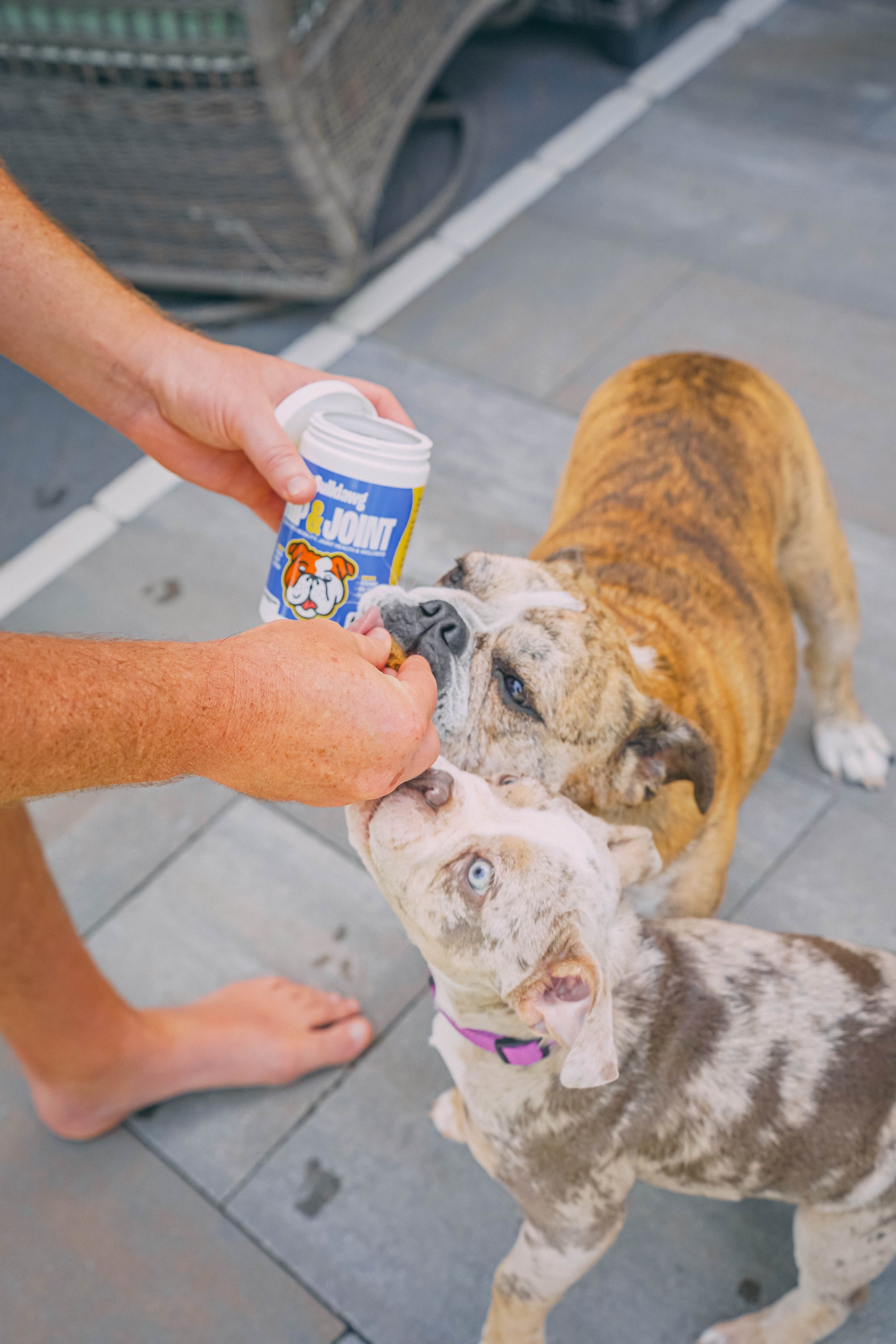 Advanced Hip & Joint