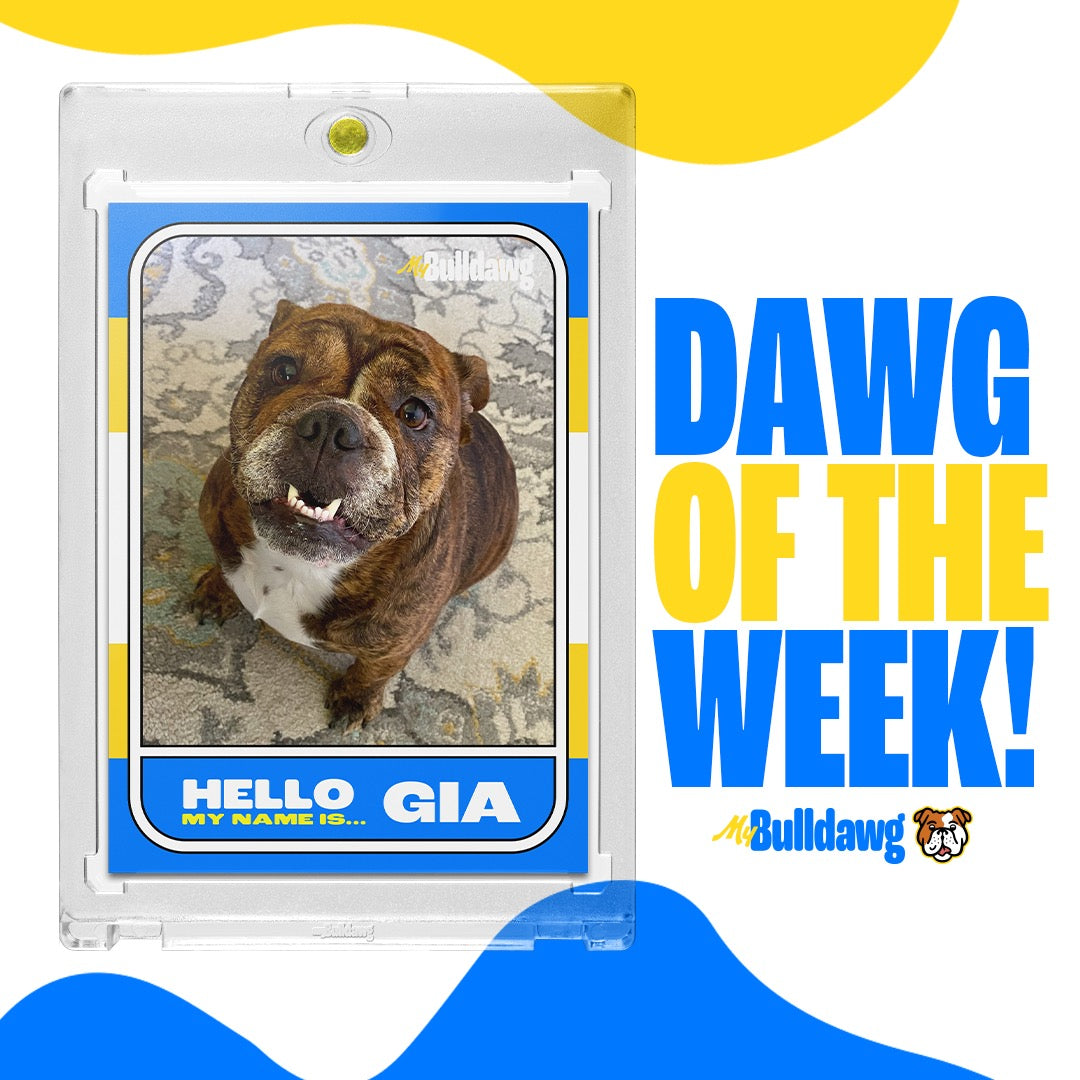 Gia Takes the Crown: Dawg of the Week Spotlight! 🌟