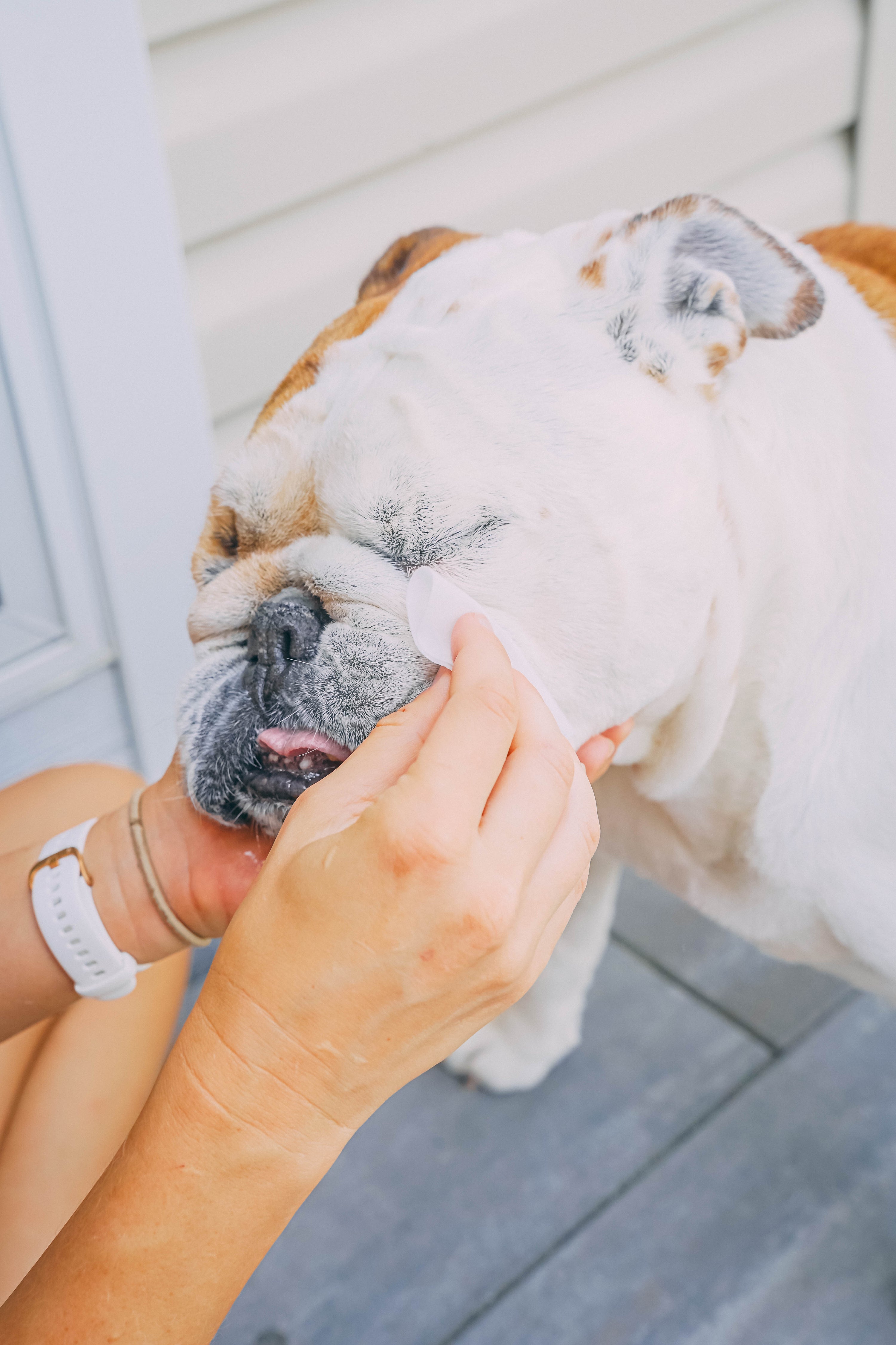 Wrinkle Wipes