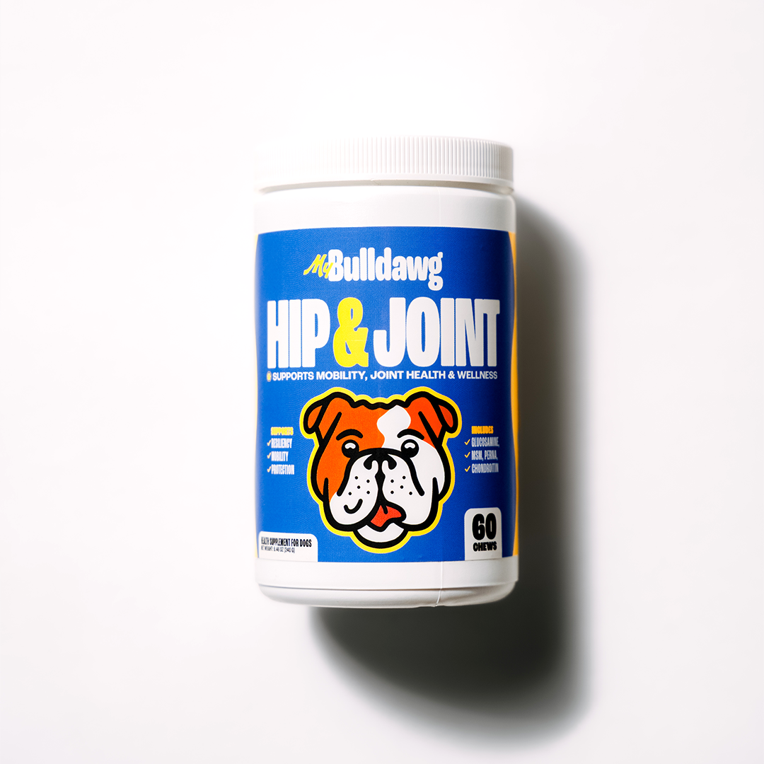 Everyday Bulldog Bundle